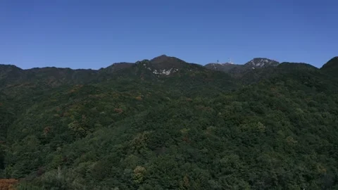 Forest in the mountains and sky Vídeo Stock 163971144