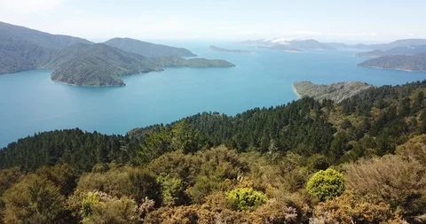 Forest, Mountains, and Water #2 Stock Footage 111418861