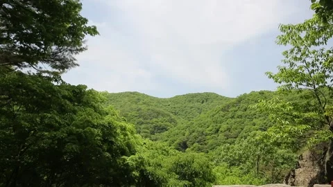 Forest in the mountains of blue sky Stock Footage 306034102