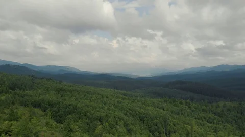 Forest In Mountains &amp; Clouds Stock Footage 93238139