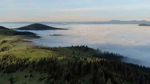 Forest With Mountains In Clouds. Green Pines In Nature Landscape Stock Footage 100428442