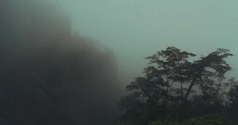 Forest mountains in the clouds, high in the mountains. Time lapse. Red camera. Stock Footage 81604169