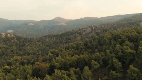 Forest at mountains on cloudy day, Kos Vídeo Stock 137712122