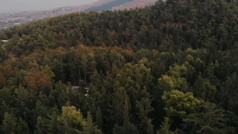 Forest at mountains on cloudy day, Kos Stock Footage 137712274