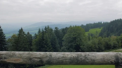 Forest In Mountains Cloudy Landscape Stock Footage 120358288