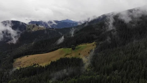 Forest mountains with the conifer trees in mist  Stock Footage 123765324