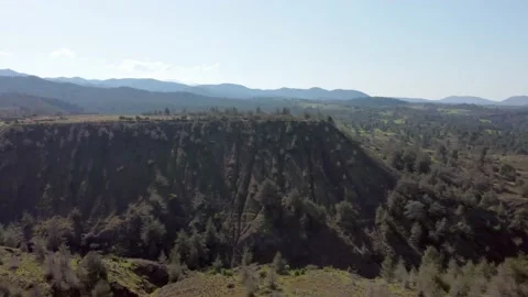 Forest in the mountains of Cyprus. Stock Footage 175298285