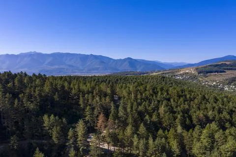 Forest in the mountains with drone Stock Photos