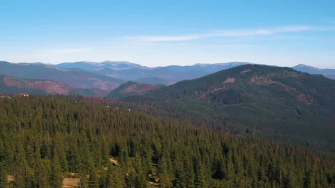 Forest mountains in fall Stock Footage 255099239