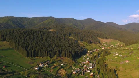 Forest mountains in fall Stock Footage 255103725