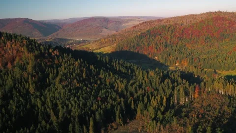 Forest mountains in fall Stock Footage 255104323