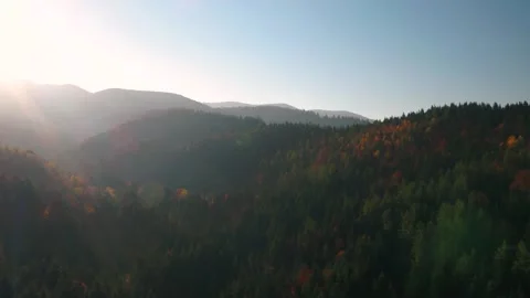 Forest mountains in fall Stock Footage 255132953