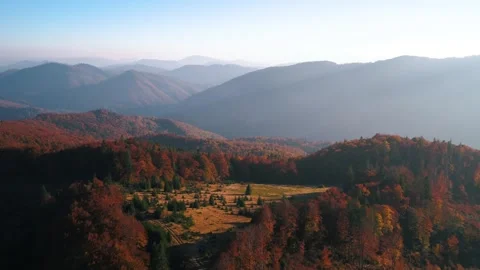 Forest mountains in fall Stock Footage 255154941