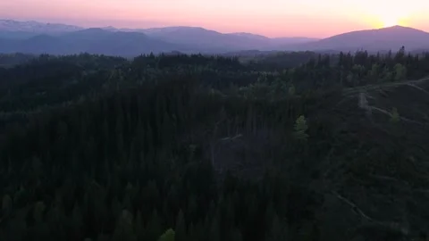 Forest mountains in fall Stock Footage 255162117