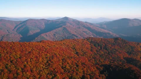 Forest mountains in fall Stock Footage 255164455
