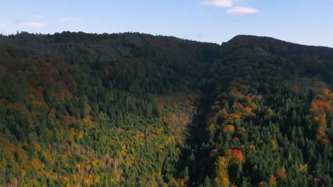 Forest mountains in fall Video stock 255175246