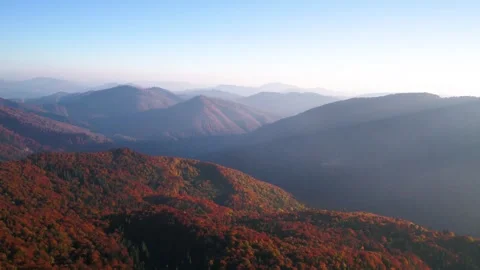 Forest mountains in fall Video stock 255175360