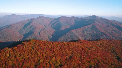 Forest mountains in fall Stock Footage 255184747