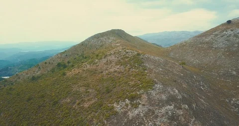 Forest Mountains Stockbeeldmateriaal 96610859