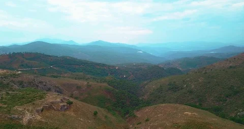 Forest Mountains Stockbeeldmateriaal 96610993