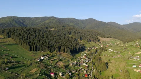 Forest in the mountains Stock Footage 99205448