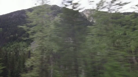 Forest mountains Stock Footage 110605641