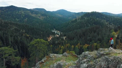 Forest in the mountains Vídeos de archivo 193961199