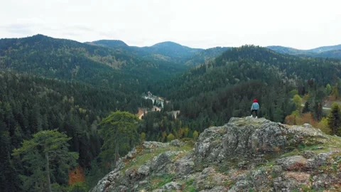 Forest in the mountains Vídeos de archivo 193985522