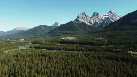 Forest to mountains Stock Footage 219271010