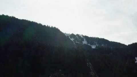 A Forest In The Mountains Video stock 236481625