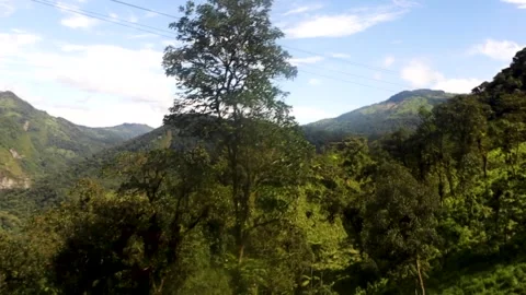 Forest Mountains Video stock 243758887