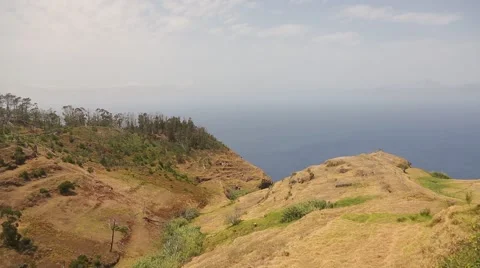 Forest with mountains on Madeira Stock Footage 58628463