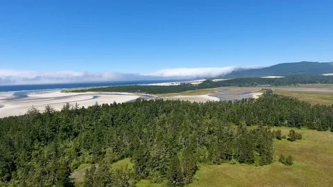 Forest mountains ocean Stock Footage 81766396