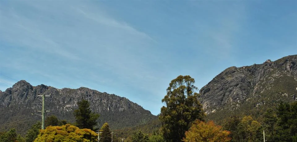 Forest Mountains Stock Photos