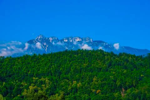 Forest mountains sky Stock Photos