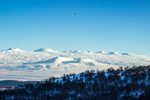 Forest mountains sky Foto stock