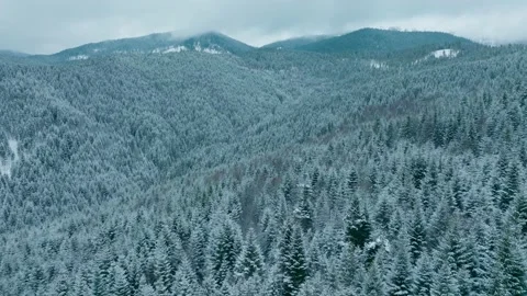 Forest mountains snow cold winter wood hill frozen travel nature Stock Footage 204752715