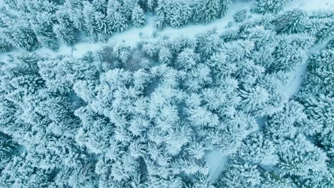 Forest mountains snow cold winter wood hill frozen travel nature Stock Footage 204759255