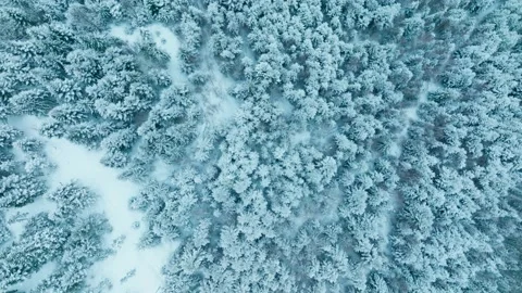 Forest mountains snow cold winter wood hill frozen travel nature Stock-Footage 204761170