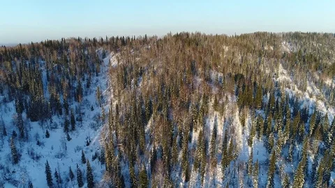 Forest, mountains, snow Stock Footage 82839745
