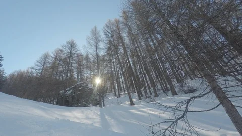 Forest in the mountains with snow Stock Footage 101749412