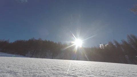 Forest in the mountains with snow Stock Footage 101866532