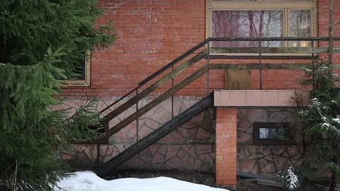 Forest in the mountains with snow Stock Footage 101867453