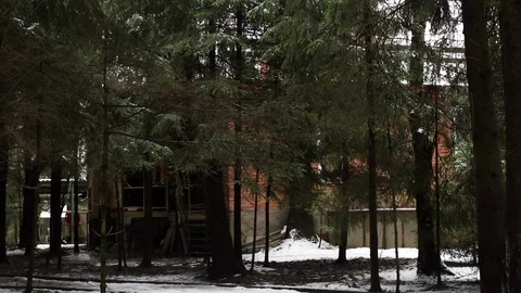 Forest in the mountains with snow Stock Footage 101867525