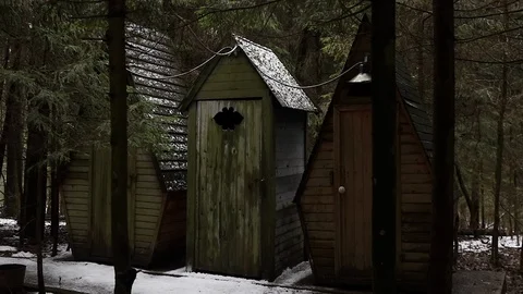 Forest in the mountains with snow Stock Footage 101867953