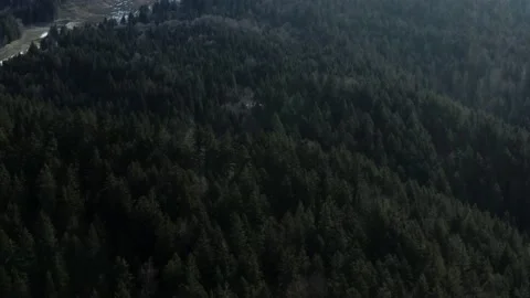 A Forest In The Mountains View From Drone Video stock 236481633