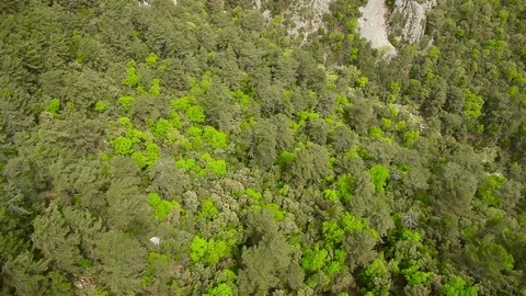 The forest in the mountains. View from the window cable car Stock Footage 74943061