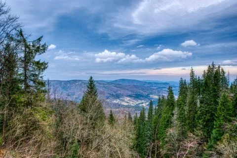Forest in mountains without interference people with beautiful sky Stock Photos