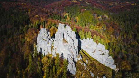 Forest Mountines with rocks landscape Stock Photos