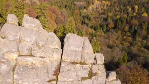 Forest Mountines with rocks landscape Stock Photos
